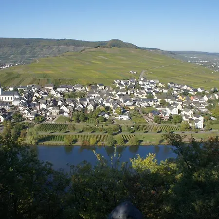 Homestay Oko-weingut Roman Herzog Minheim